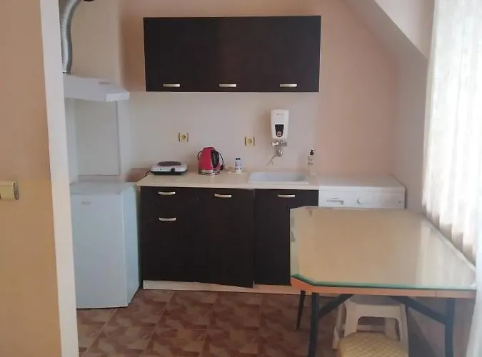 Ivaylo Alloggio in famiglia *